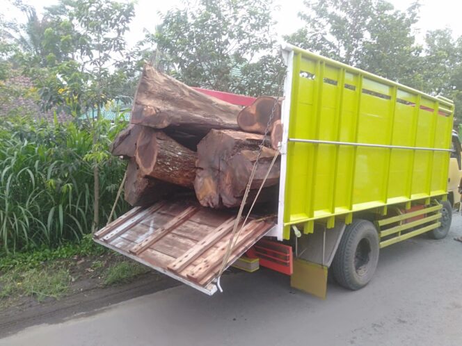 
					Pemotongan 3 Pohon Kayu Sono Keling Desa Sumberputih Wajak Terjadi Polemik