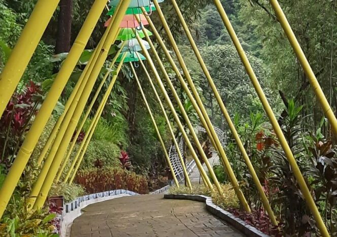 
					KPH Lawu Ds Berbenah Tambah Daya Tarik Obyek Wisata Suwono Park Kabupaten Ngawi