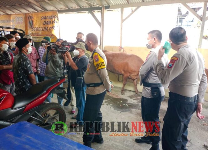 
					Viral ! Aksi Heroik Anggota Polsek Ranuyoso Hadang Maling Sapi di Desa Wonoayu Semalam
