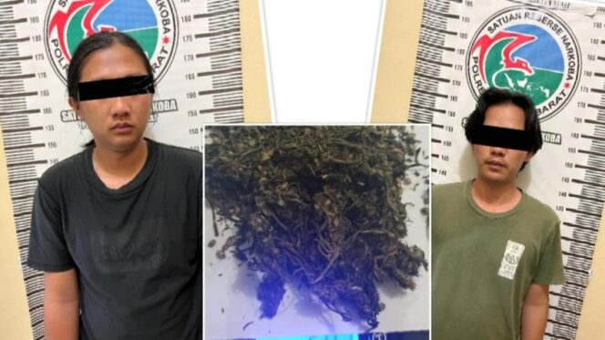 
					Dikantor J&T Dua Mahasiswa Asal Lampung  Barat Diringkus Gara-Gara Ini