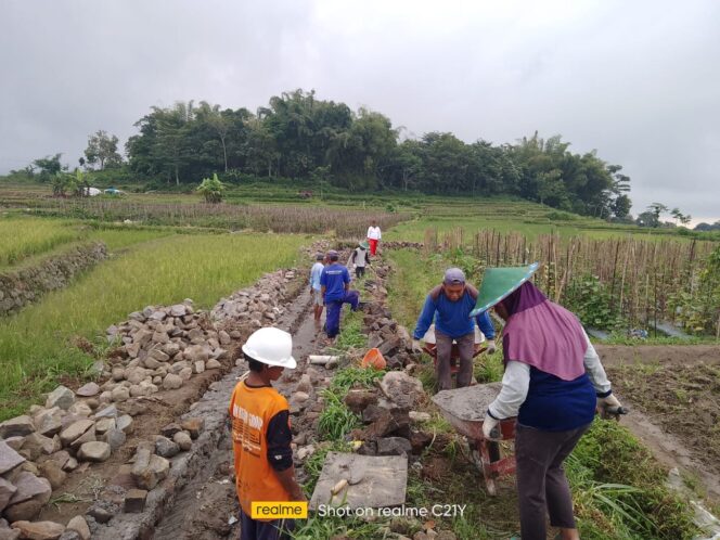 
					Dapat Kucuran Dana P3TGAI Tahun 2022, Hippa Sumber Makmur Desa Sumber Agung “Bangun Saluran Irigasi Guna Kesejahteraan Petani Di Desanya”
