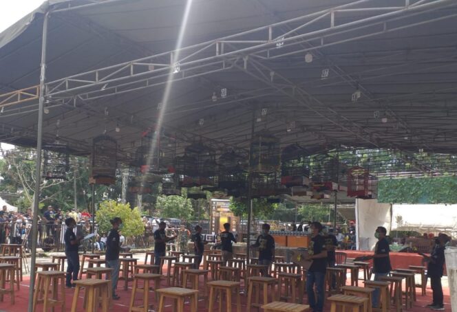 
					Kontes Burung Berkicau, Dilombakan Perhutani Bondowoso