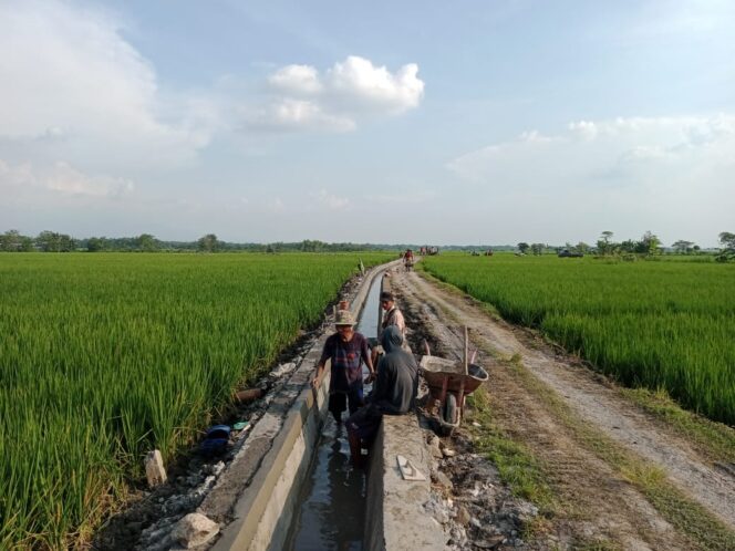 
					MELALUI PROGRAM P3TGAI HIPPA TIRTO MAKMUR REALISAIKAN PEMBANGUNAN PERBAIKAN SALURAN TERSIER