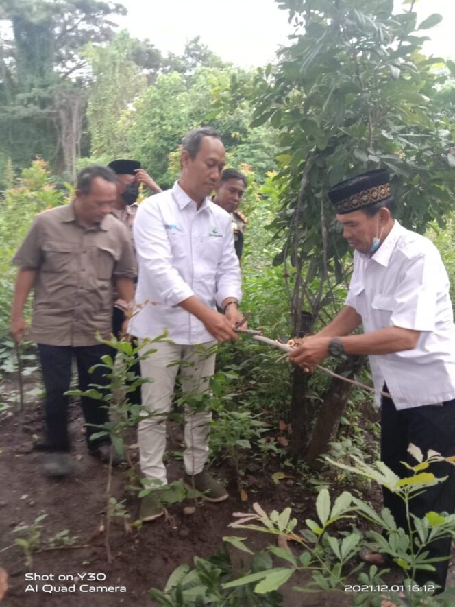 
					Perhutani KPH Probolinggo Pembaruan BudiDaya Lak Di Cabang Pohon Kesambi