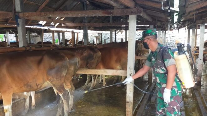 
					Kasdim Klungkung Dampingi Bupati Sosialisasi Soal Penyemprotan Hewan Ternak