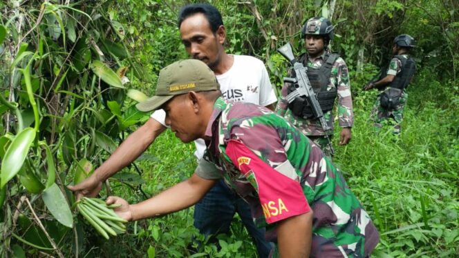 
					Komsos di Distrik Bonggo, Anggota Koramil Sapa Petani Vanili