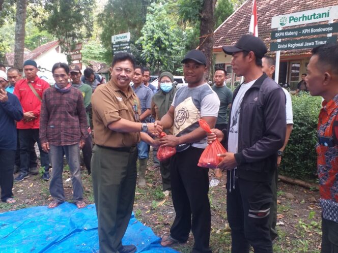 
					Bagi Daging Kurban Perhutani Bondowoso,Masarakat Sekitar Tampak Senang