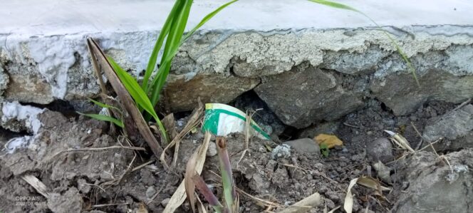 
					Mengklarifikasi Pembangunan Mau Di Perbaiki…”Ketua HIPPA Selorejo Seraya Menghindar Untuk Di Temui”