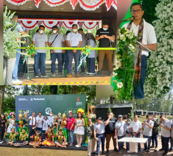 
					Perhutani Luncurkan Regrouping Anak Perusahaan