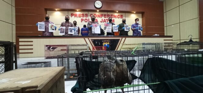 
					Polda Jatim Bongkar Jual Beli Satwa Dilindungi