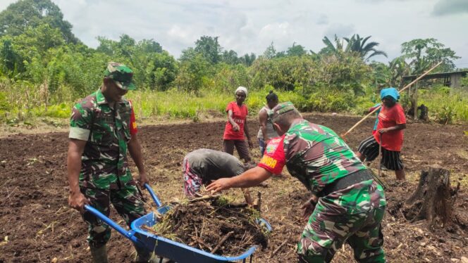 
					Kodim 1712/Sarmi Bersama Dinas Ketahanan Pangan Siapkan Lahan Percontohan Untuk Warga