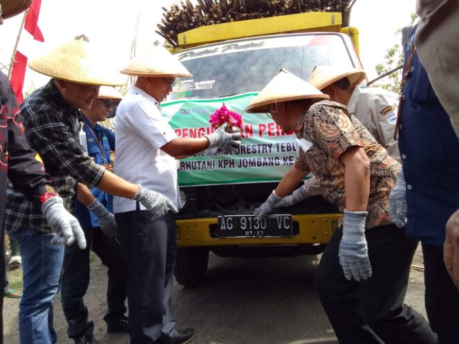 
					Asdep Kementrian BUMN Resmi Panen Perdana Agrogorestry Tebu Mandiri Perhutani Jombang