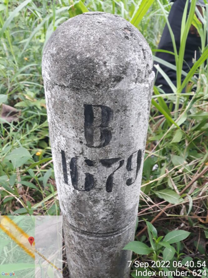 
					Modus Penebangan Liar Untuk Penanaman/Gudang Penyimpanan Porang