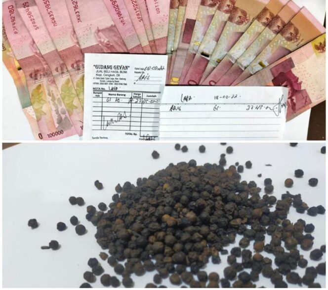 
					Polsek Sumber Jaya Lampung Barat Amankan Pelaku Pencurian Biji Lada