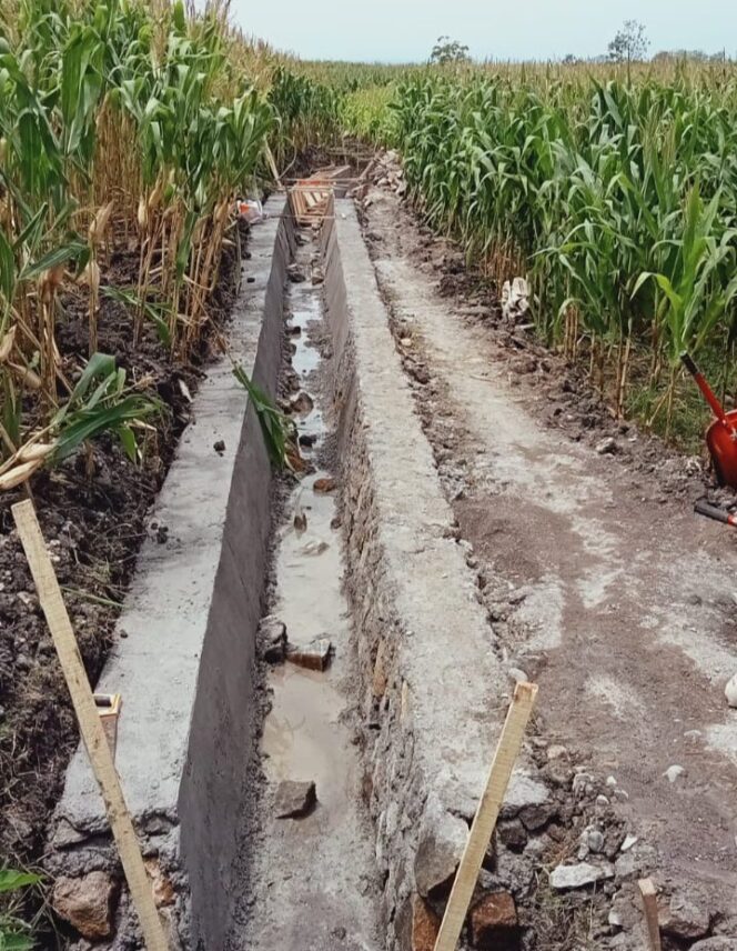 
					“Hippa Harapan” Kelurahan Lembeyan Kulon Dapat Program P3TGAI Tahap 2 Tahun 2022