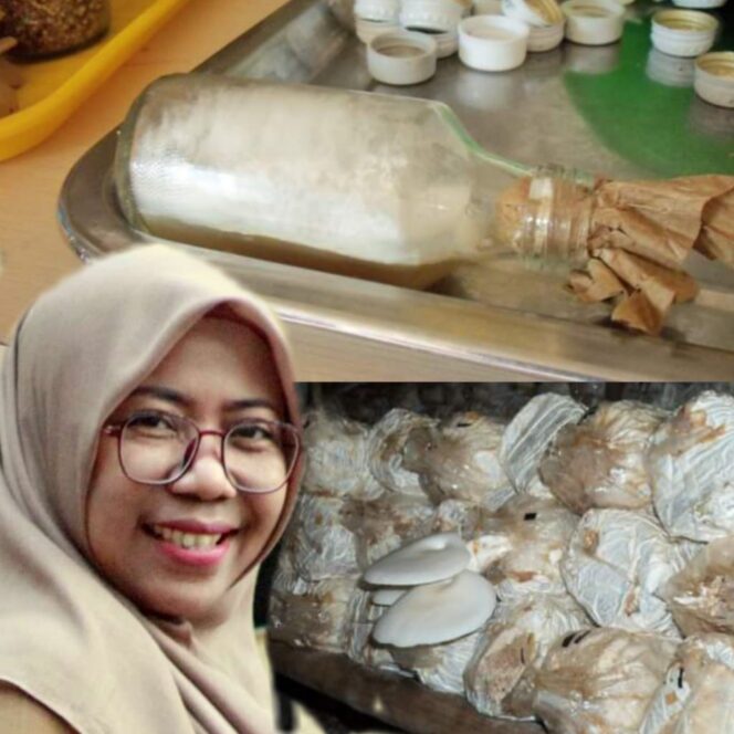 
					Mojokerto Pelopor Budidaya Jamur “Hampir Mati Keracunan Jamur” Akhirnya Sukses Karena Jamur