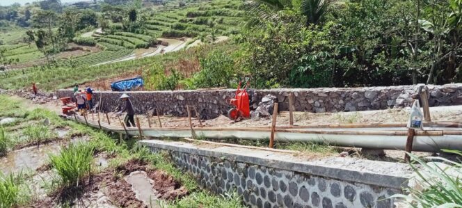 
					Guna Perlancar Mobilitas Petanian, Pemdes Sumberagung Bangun Talud Jalan Tani Kulon Silorok