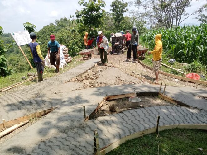 
					Dapat Bantuan, Pemdes Cileng Bangun Rabat Jalan Usaha Tani Di Dua Lokasi