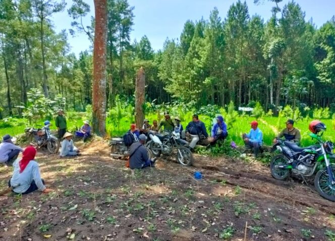 
					Sosialisasi Perhutani Banyuwangi Barat Kepada Masyarakat Sekitar Hutan