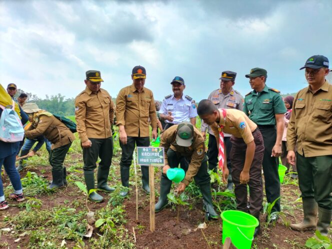 
					Minimalisir Bencana Banjir, Perhutani Tanam 1.100 Bibit Pohon Di Lumbang Probolinggo