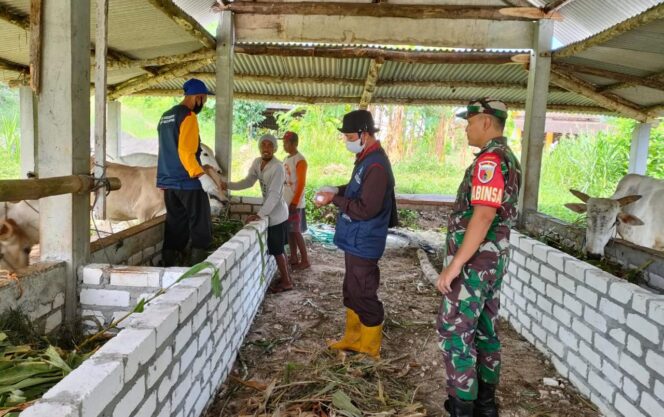 
					Hewan Ternak di Brondong Lamongan Masuk Tahap Pendataan