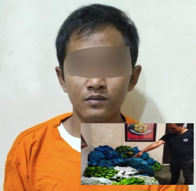 
					Polsek Sumber Jaya Ungkap Kasus Pencurian Dengan Pemberatan