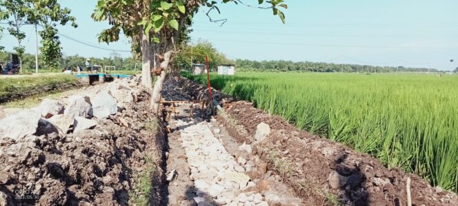 
					Beri Pemanfaatan 30 Hektar, Hippa Sri Jajar Bangun Saluran Irigasi