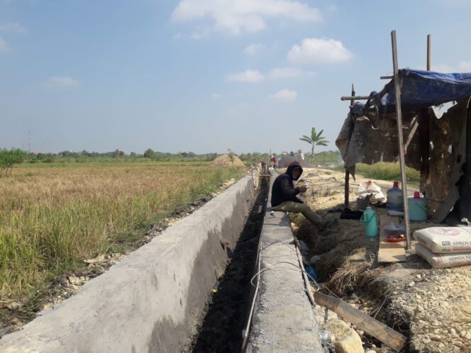 
					Program P3-TGAI Desa Kalipadang, Tingkatan Perekonomian Di Sektor Pertanian