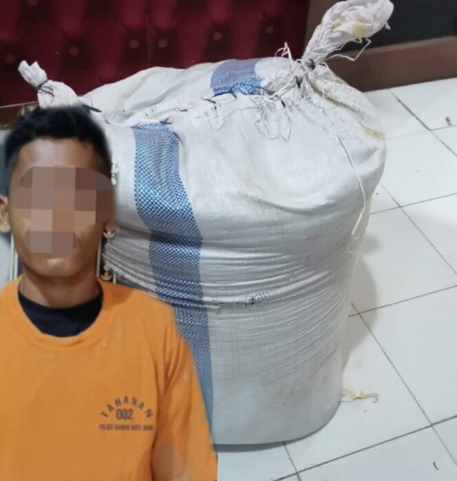 
					Tekab 308 Presisi Polsek BNS Berhasil Amankan Pencuri Lada Hitam
