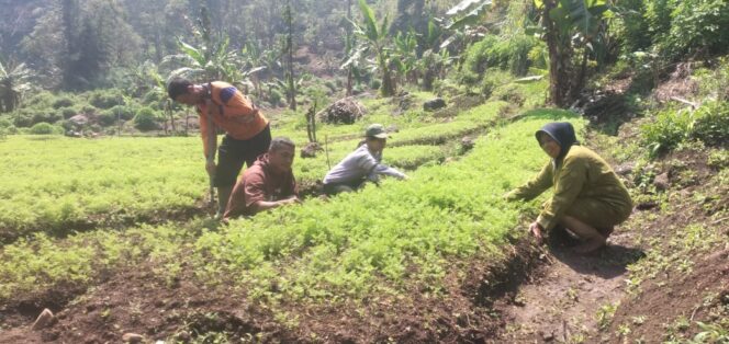 
					Desa Kare Penghasil Terbesar Dalam Penyuplai Kebutuhan Pangan