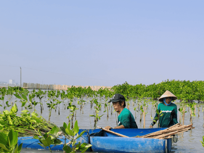 
					Merintis dari Akhir 2016, LindungiHutan dan Mitra Penggerak Telah Menanam 700 Ribu Pohon di 47 Daerah