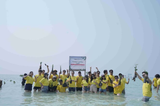 
					Peringati Ulang Tahun Perusahaan, Program CSR AsetKu Gandeng LindungiHutan Tanam 1.000 Pohon Mangrove