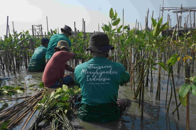 
					Alternatif Kegiatan CSR Lingkungan yang Berdampak dan Berkelanjutan