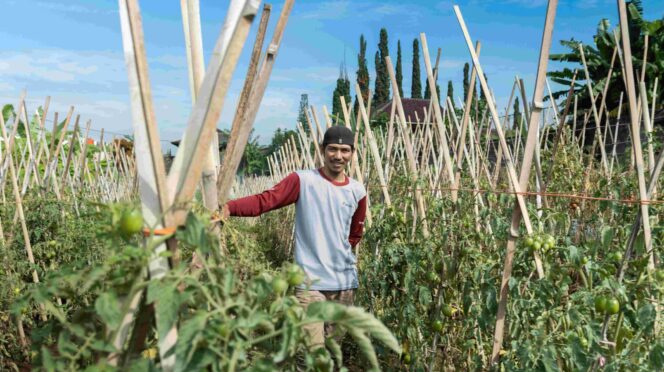 
					Wilayah Operasional Meluas di Jawa Timur, Sayurbox Kini Hadir Membawa Kesegaran di Kota Malang