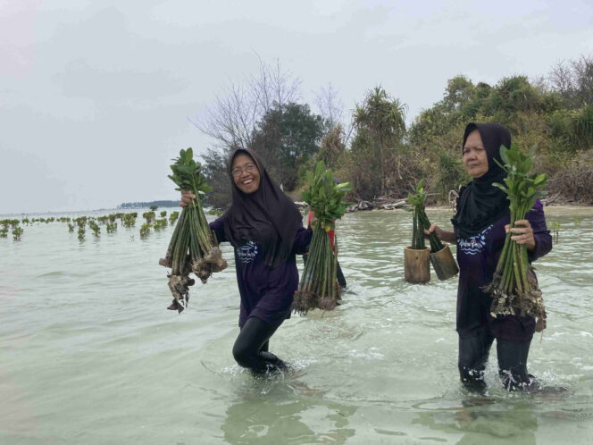 
					Sedekah Pohon Peserta Fun Walk ISEF 2023 x Hijrahfest Tanam Seribu Mangrove di Pulau Pari