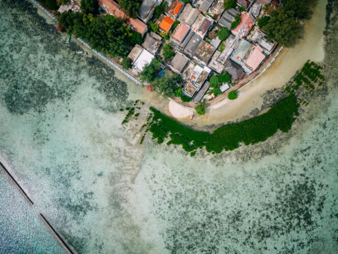 
					Kolaborasi LindungiHutan dan Smiling Coral Indonesia Hadirkan Harapan Baru untuk Lautan