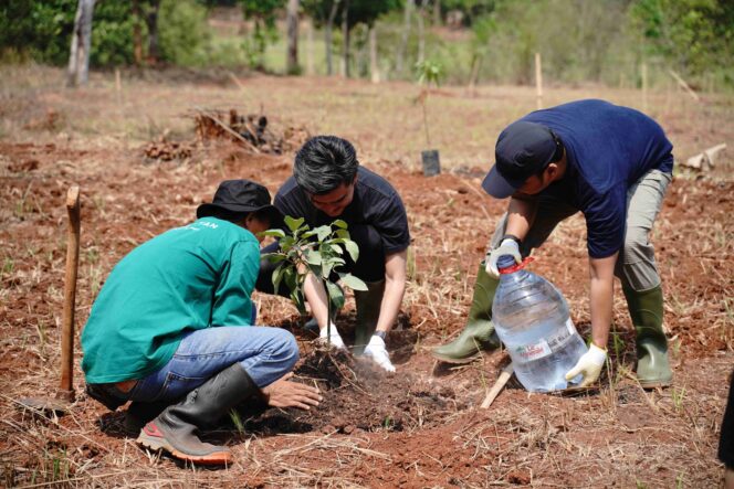 
					PT DCI Indonesia Tbk Tanam 1.000 Pohon Alpukat di Kabupaten Subang, Jawa Barat