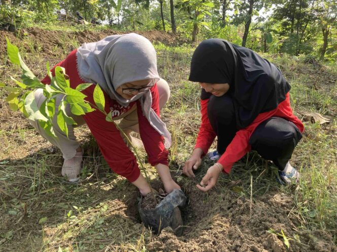 
					Penanaman 294 Pohon Alpukat dalam Program Gabung Aksi LindungiHutan di Semarang