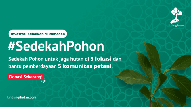 
					LindungiHutan Permudah Masyarakat untuk Berpartisipasi dalam Program Sedekah Pohon