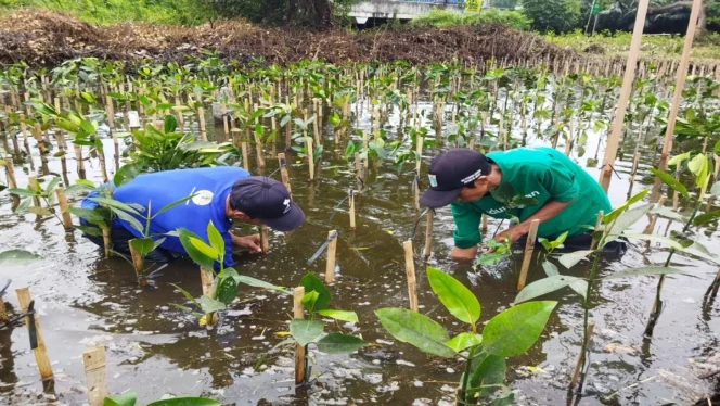 
					Mengapa Menanam Pohon itu Penting? Ini Alasannya