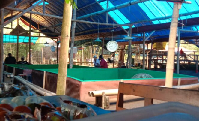 
					Kapolda Harus Tegas Sikat Judi Sabung Ayam di Kediri dan Kota Batu