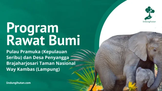
					LindungiHutan Kembali Mengajak Brand dan Perusahaan Terlibat Program Rawat Bumi untuk Keberlanjutan Lingkungan