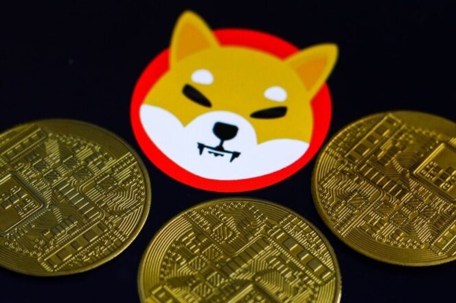 
					Prediksi Harga Shiba Inu: Apakah SHIB akan Mencapai Harga Tertinggi Sepanjang Masa di Tahun Ini?