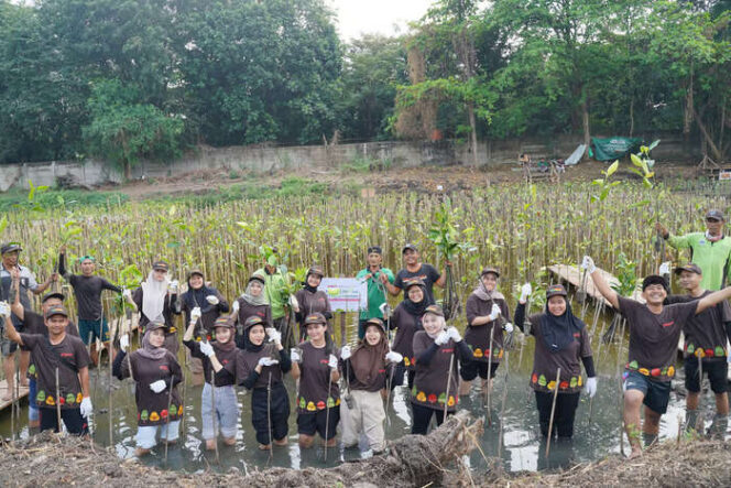 
					PT Pigeon Indonesia Tanam 1.000 Pohon Mangrove di Pantai Indah Kapuk Jakarta