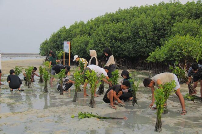 
					Pulau Pramuka Jadi Lokasi Kerja Sama LindungiHutan dan Smiling Coral Indonesia