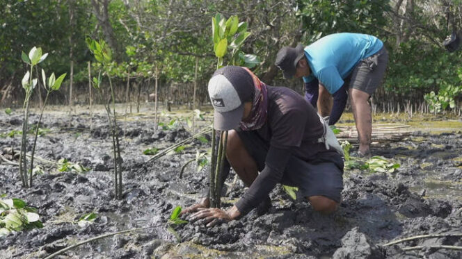 
					Dukung Strategi Keuangan Berkelanjutan Perusahaan, LindungiHutan Punya Program Mangrove Capital