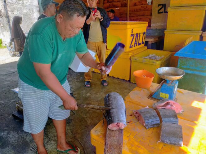 
					Ikan Blue Marlin Jadi Primadona di Kabupaten Pesisir Barat Lampung